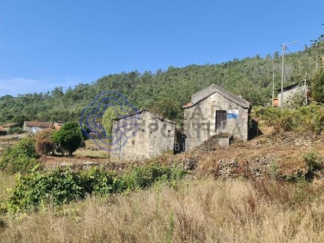 Quinta venda em Sever Do Vouga, Aveiro