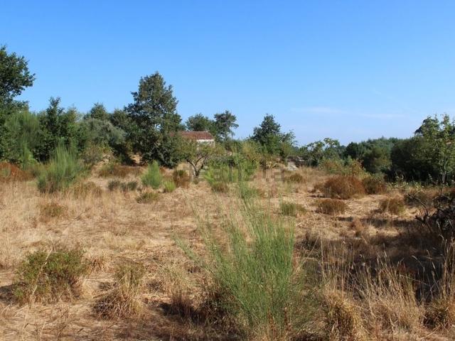 Quinta venda em Percelada, Tábua