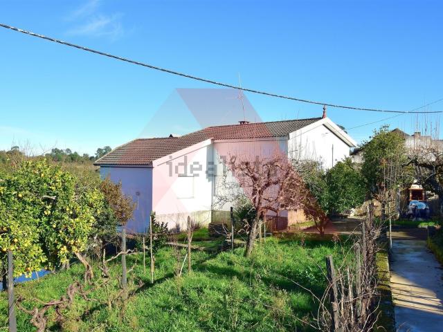 Quinta venda em Tábua, Coimbra