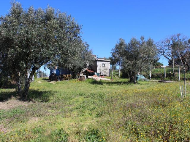 Quinta venda em Tábua, Coimbra