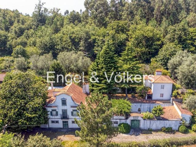 Quinta venda em Póvoa De Lanhoso, Braga