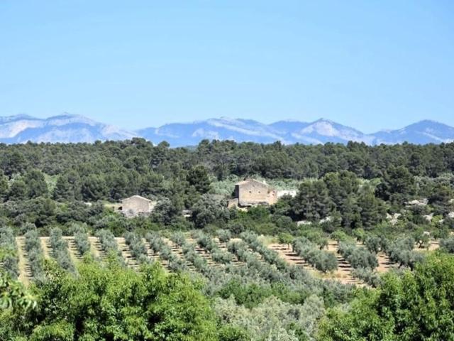 Casa Rural en venta en Cretas, Teruel