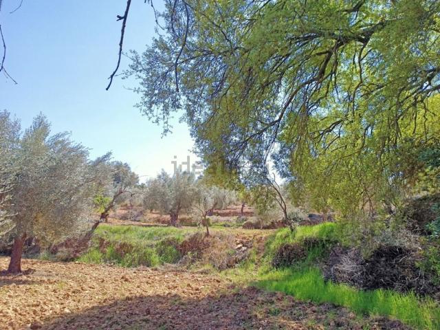 Casa Rural en venta en Cretas, Teruel