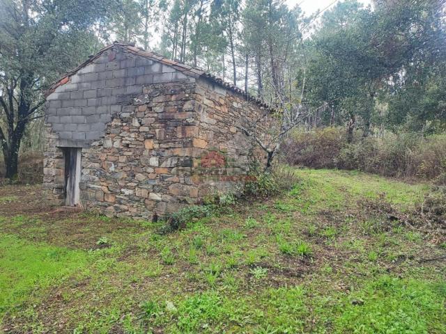 Quinta venda em Castelo Branco, Cumeada