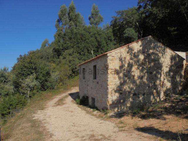 Quinta venda em Penela, Coimbra