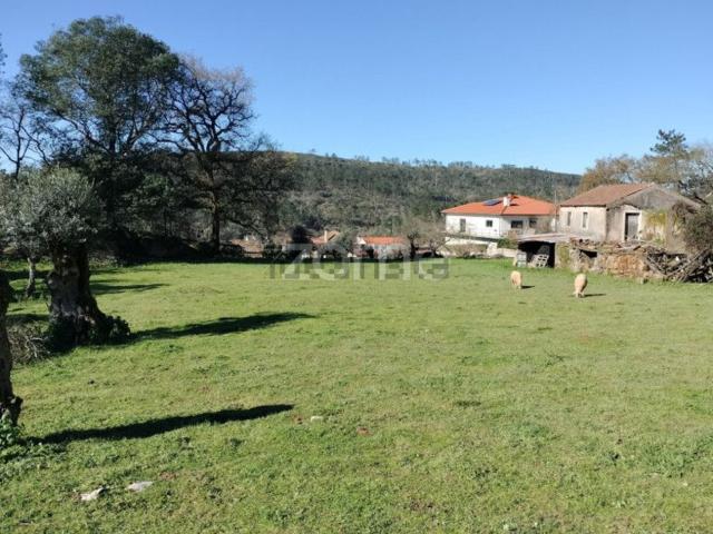 Quinta venda em Penela, Coimbra