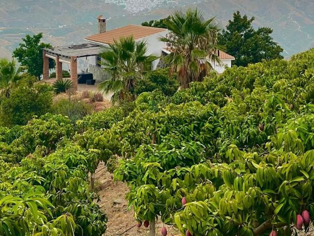 Casa Rural en venta en La Axarquía, Andalucía