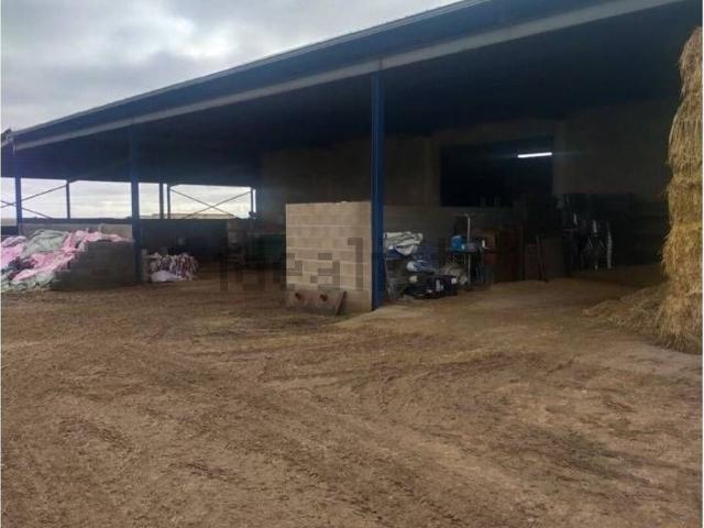 Casa Rural en venta en Daimiel, Castilla-La Mancha