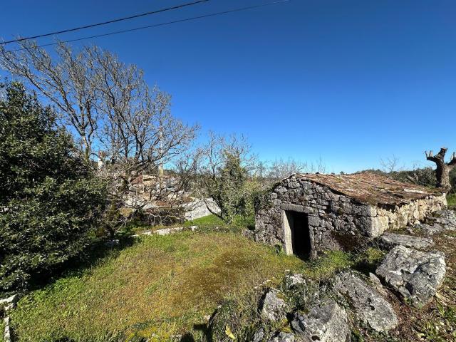 Quinta venda em Soure, Coimbra