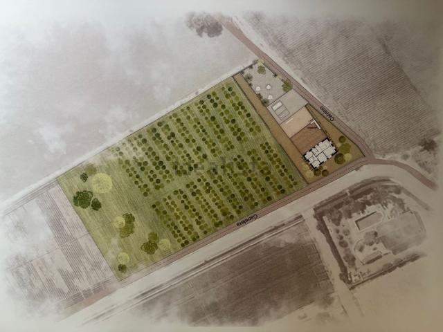 Casa Rural en venta en el Baix Segura / La Vega Baja, Valencia