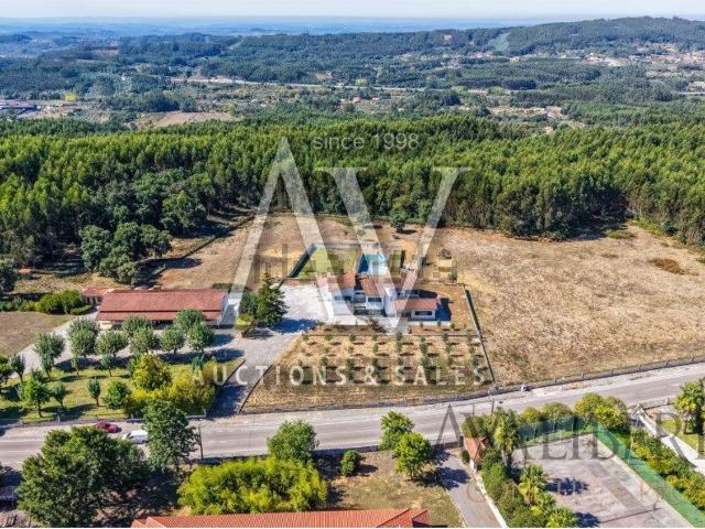 Quinta venda em Nossa Senhora do Pranto, Ferreira do Zêzere