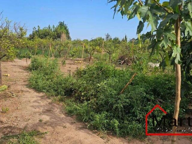 Casa Rural en venta en la Plana Alta, Valencia