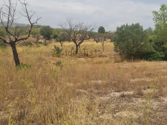 Casa Rural en venta en Terra Alta, Catalunya