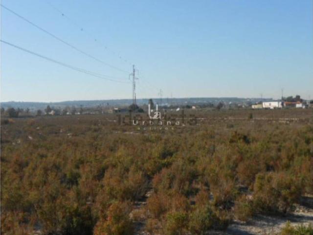 Casa Rural en venta en Elx / Elche, Alacant / Alicante