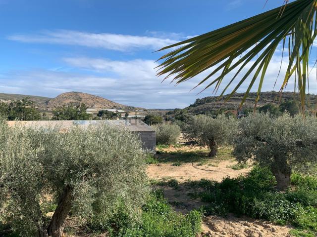 Casa Rural en venta en Torrellano, el Baix Vinalopó