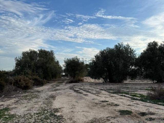 Casa Rural en venta en Algorós, el Baix Vinalopó