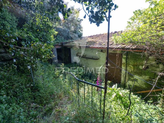 Casa venda em Bouro (Santa Maria), Amares