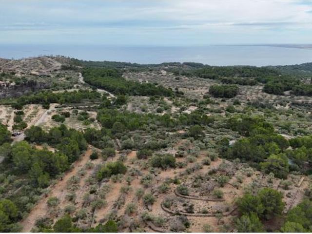 Local Comercial en venta en Baix Ebre, Catalunya