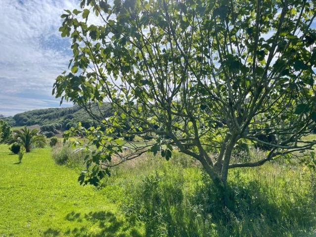 Casa Rural en venta en Castillo Siete Villas, Arnuero