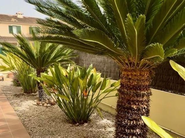 Casa Rural en venta en Marratxinet, Raiguer