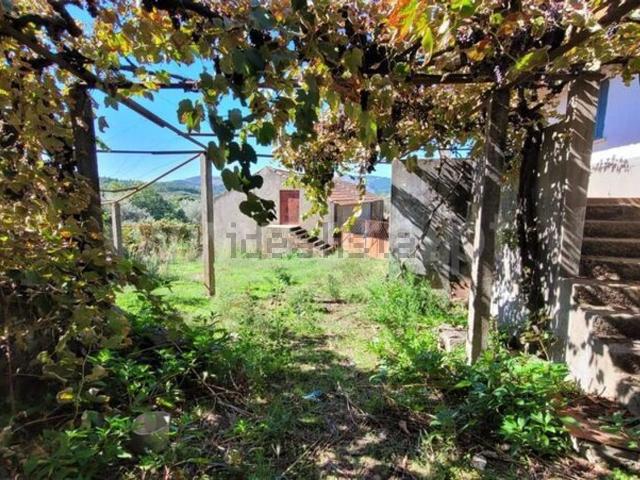 Quinta venda em Enxames
