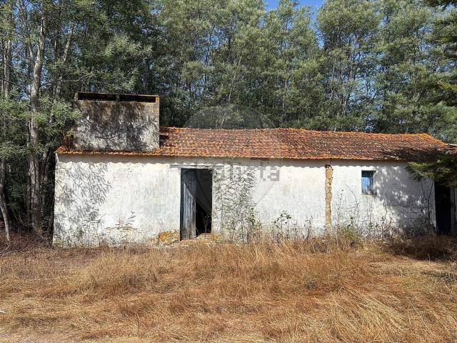 Quinta venda em Coruche, Santarém