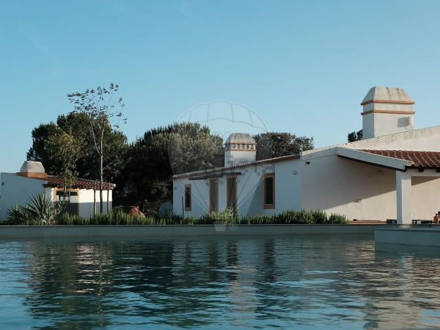 Quinta venda em Ervidel, Ervidel