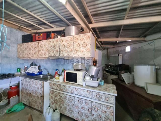 Quinta venda em Castelo Branco