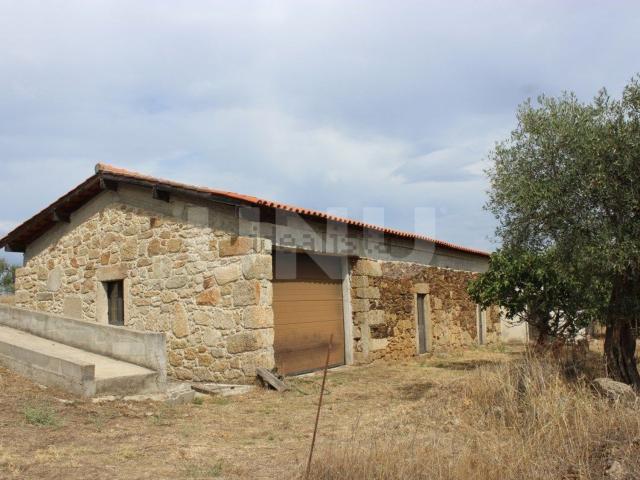 Quinta venda em Castelo Branco