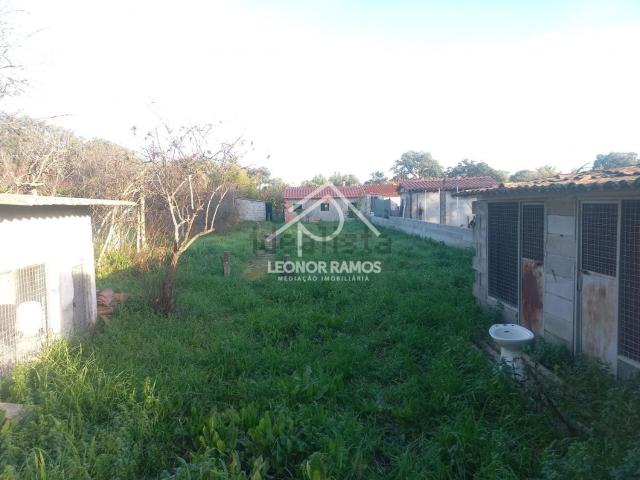 Quinta venda em Castelo Branco