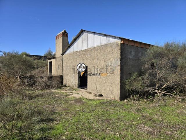 Quinta venda em Castelo Branco