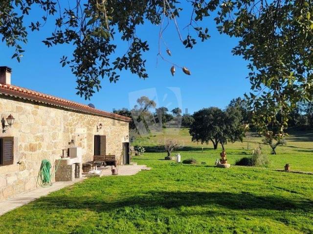 Quinta venda em Castelo Branco
