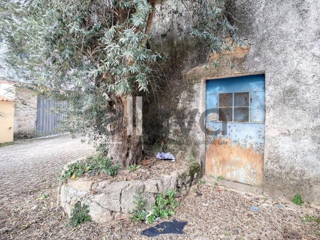 Quinta venda em Castelo Branco