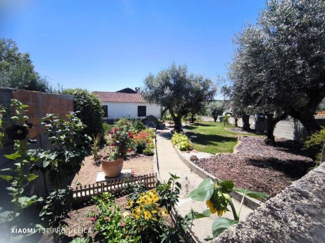 Quinta venda em Castelo Branco