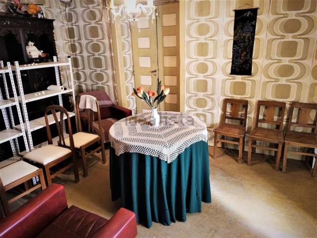 Quinta venda em Castelo Branco