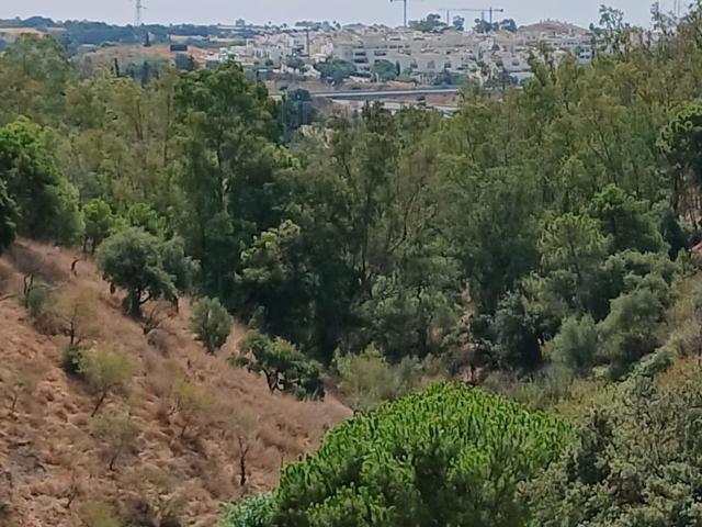 Casa Rural en venta en Barriada Islas Canarias, Costa del Sol Occidental