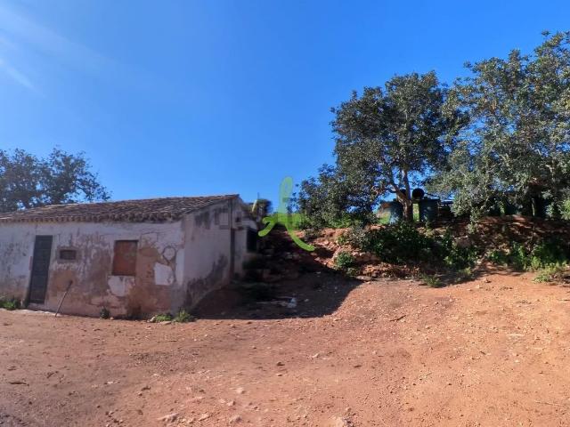 Quinta venda em Faro