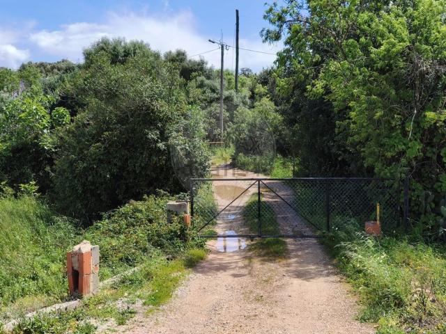 Quinta venda em Mexilhoeira da Carregação, Parchal