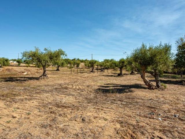 Quinta venda em Bairro Mourique, Estremoz