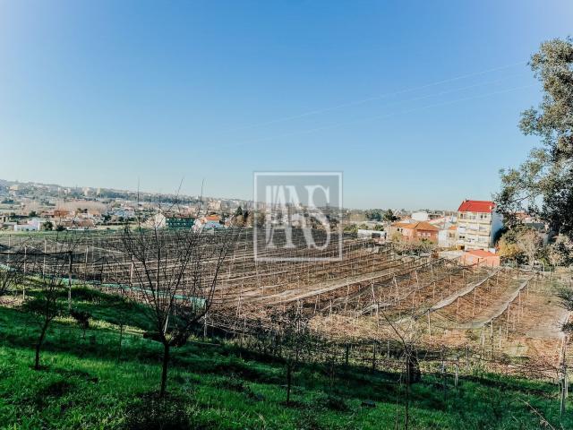 Quinta venda em Gondomar, Porto