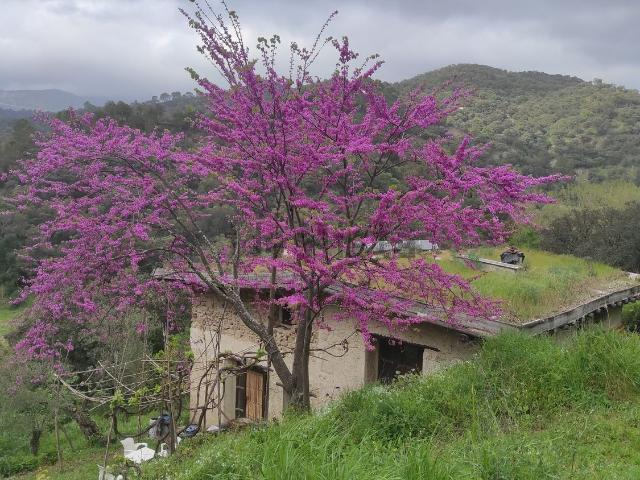Casa Rural en venta en Serranía de Ronda, Andalucía