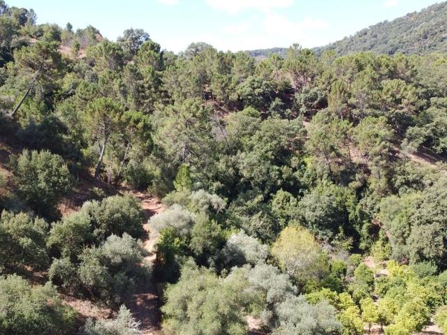 Casa Rural en venta en Serranía de Ronda, Andalucía