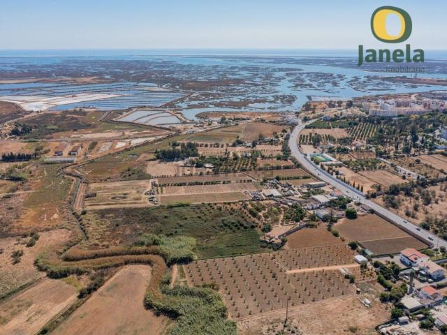 Quinta venda em Faro