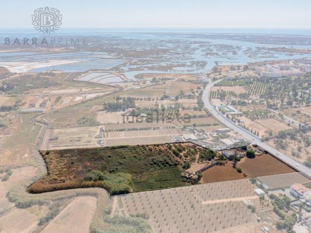 Quinta venda em Faro