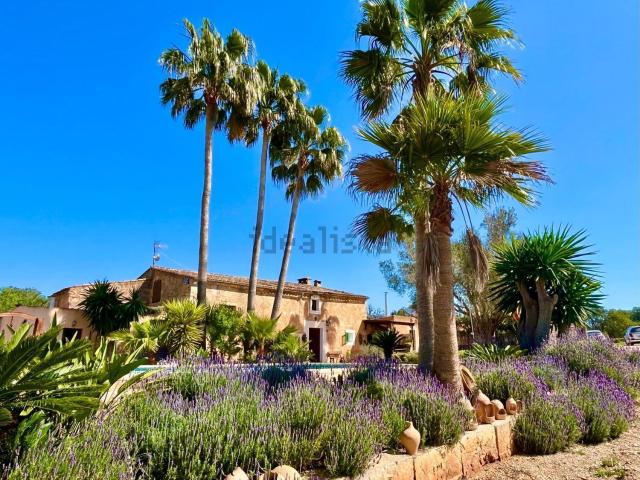 Casa Rural en alquiler en Cas Concos des Cavaller, Felanitx