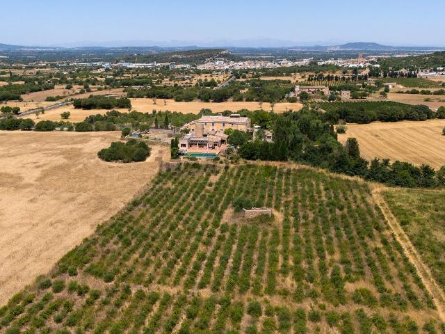 Casa Rural en venta en Migjorn, Baleares