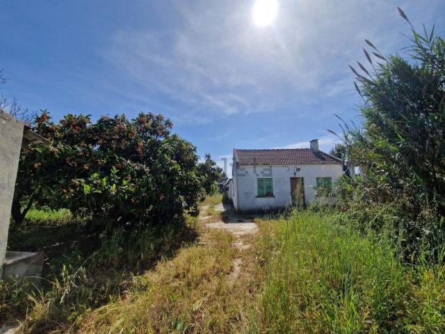Quinta venda em Seixal, Fernão Ferro