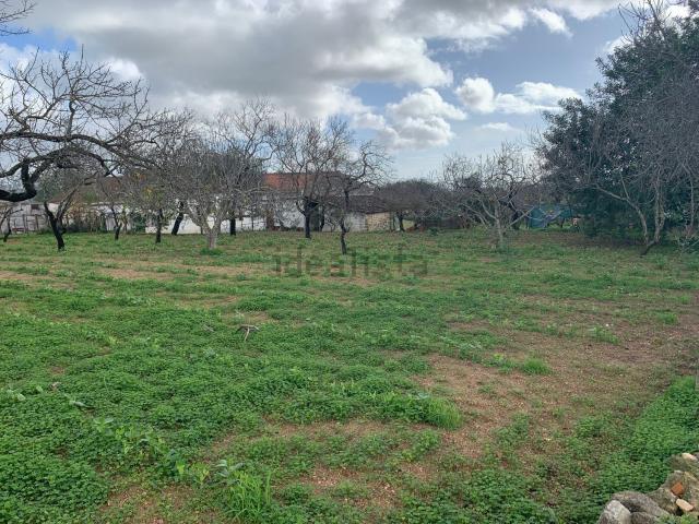 Quinta venda em Albufeira, Faro