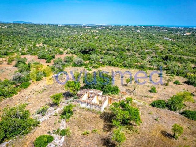 Quinta venda em Albufeira, Faro
