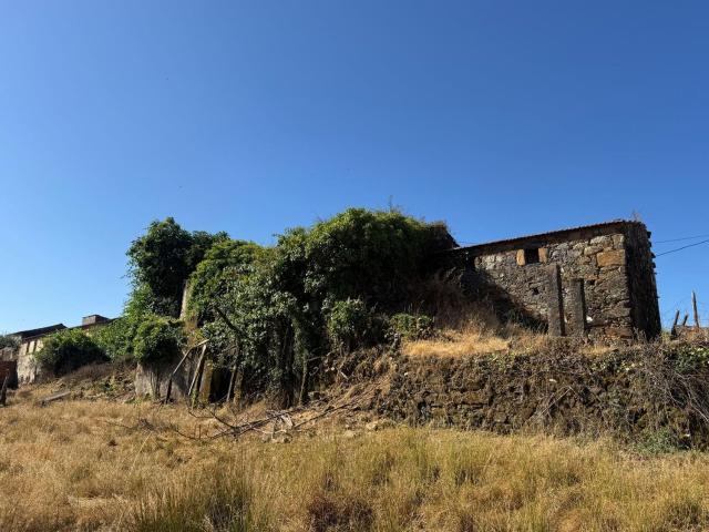 Quinta venda em Figueiró Dos Vinhos, Leiria